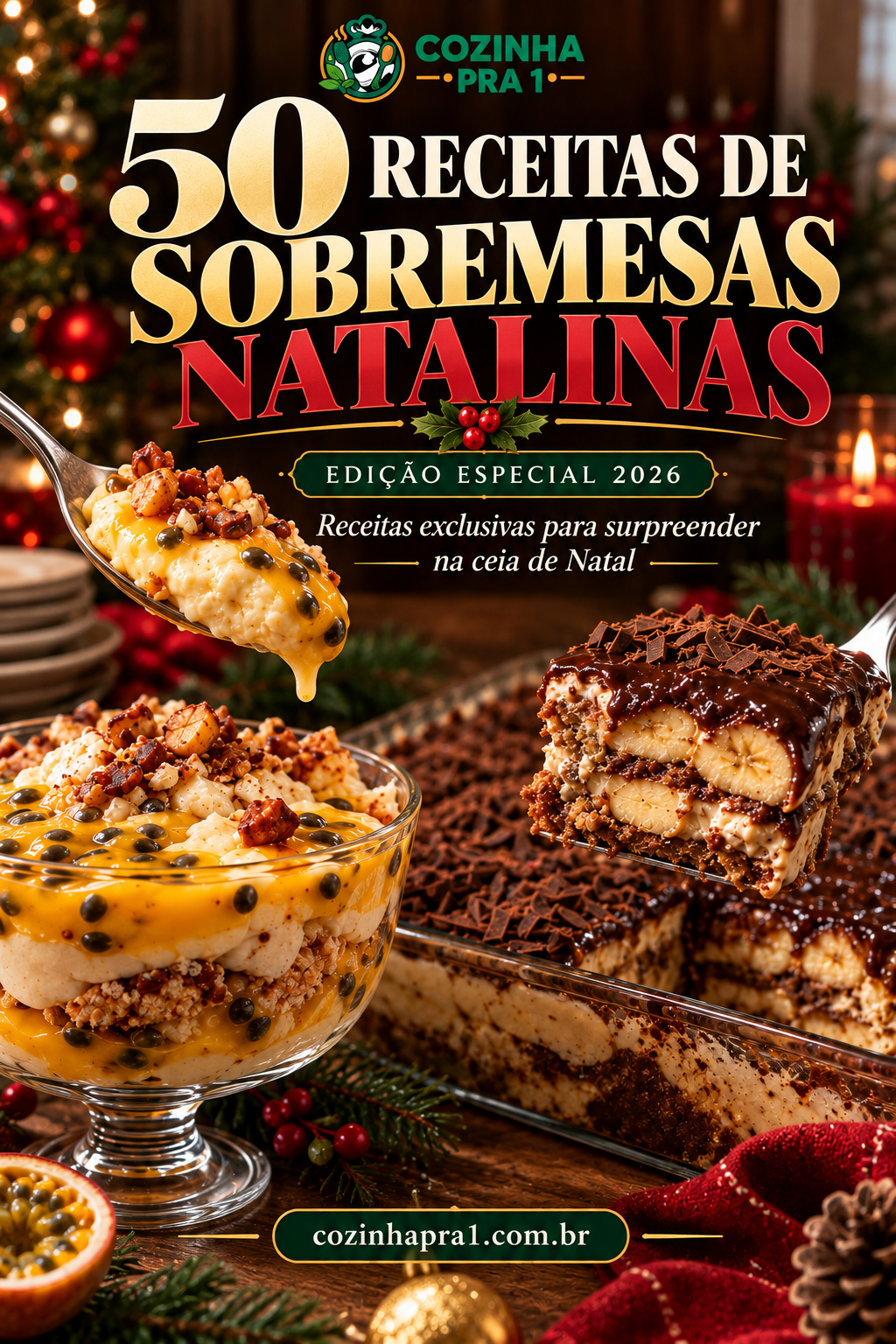 Capa do e-book