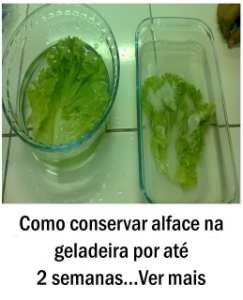 Como conservar alface na geladeira por até 2 semanas