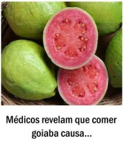 Conheça os benefícios de comer goiaba, é surpreendente as várias maneiras de consumi-la