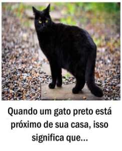 Quando um gato preto está próximo de sua casa, isso significa que…